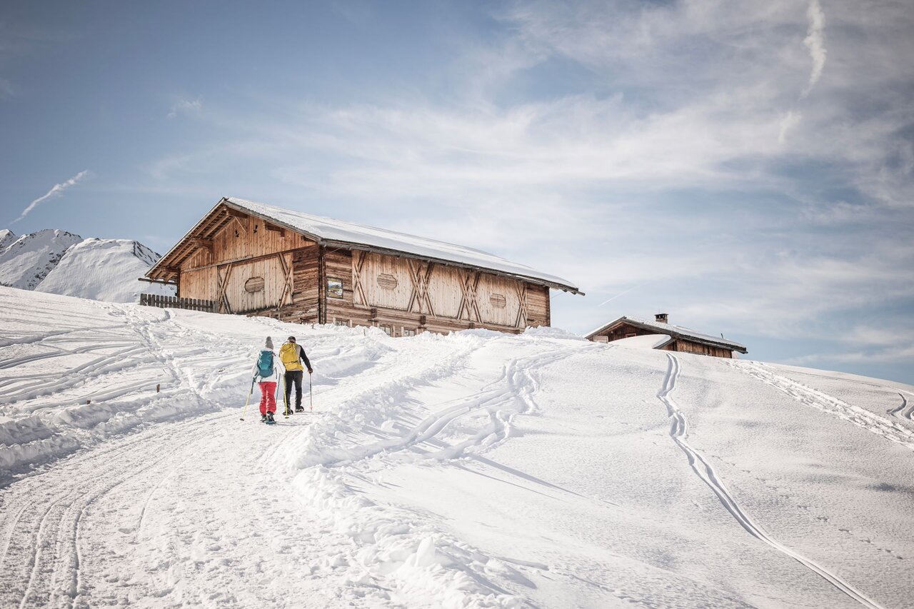 Ski Tours, snowshoe & winter hikes.