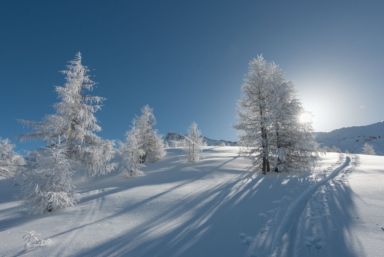 Berghotel Alpenrast in Rein in Taufers